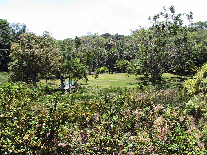 28 - Jardin des eaux 038.jpg